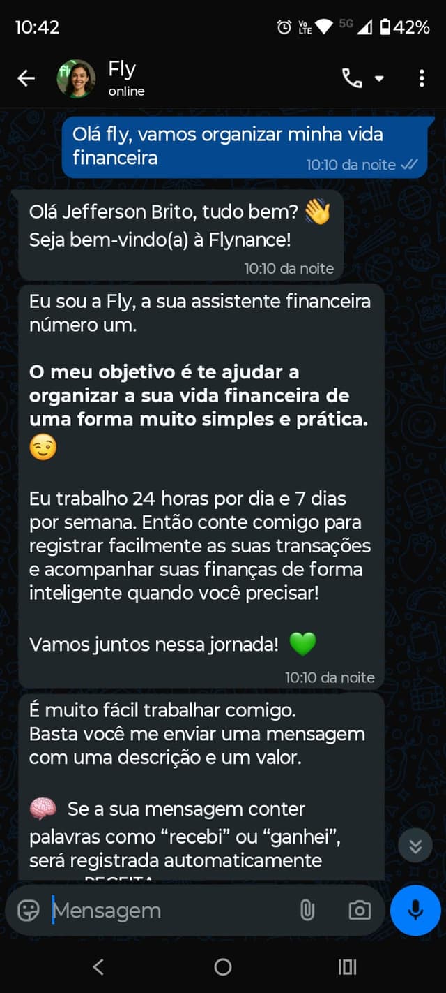 Chat da Fly no WhatsApp
